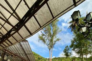 Fazenda Arraial Velho - 8