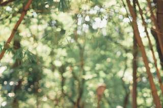 Orlando Soares Fotografia - 25