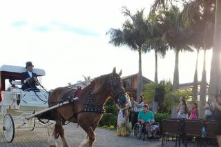 Estação Baroneza - 11