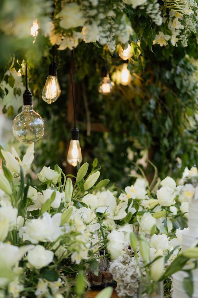 Sonia Coimbra Decor - 2