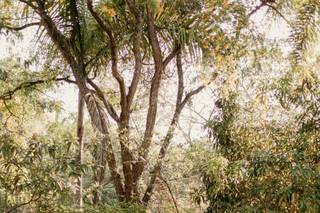 Sítio Green View - 6
