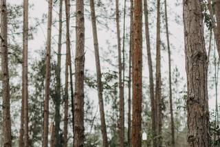 Nathi Grotto Fotografia - 33