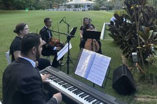 Orquestra Elegance Musical - 12