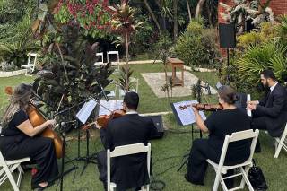 Orquestra Elegance Musical - 13