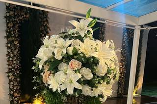 Zulmira Bem Casados - 8