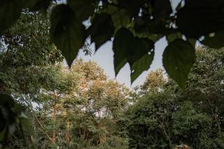 Sheila Nouga Decoradora - 15