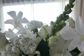 ViFlores - 32