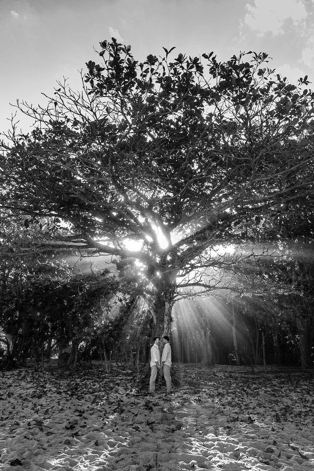 Olliotti Fotografia - 2