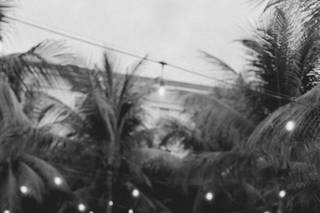 Grupo Som do Coração - 5