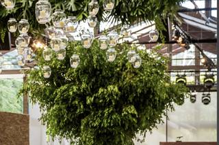 Gramani's Lux Brasil - 9