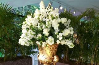 Bitencourt Eventos - 9