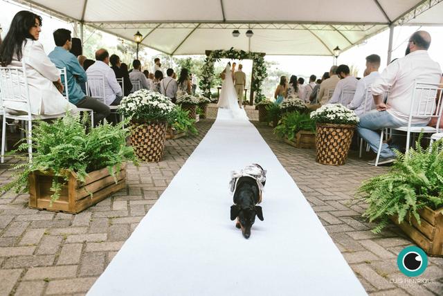 Cazzare Decorações e Eventos - 3