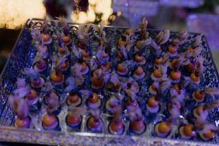 Afrikan House Lounge - 8