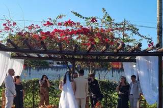 Alamanda Festas - 6
