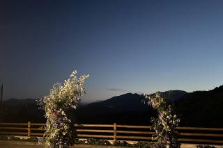 Passion The Flower - 7