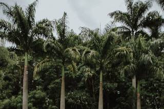 Izaltino & Dri Canton - 16