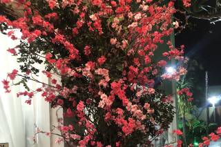 Passion The Flower - 33