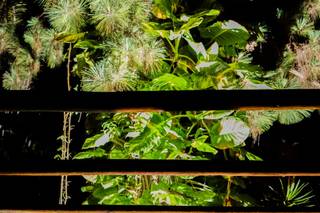 Quinta da Aldeia - 28