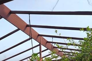 Arandella - 5