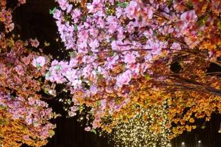 Afrikan House Lounge - 5