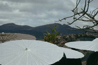 Luciane Spitali Fotografias - 22