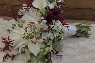 Neiva Design Em Buques - 6