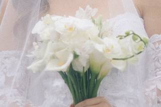 Fe Andriolo Photography - 8