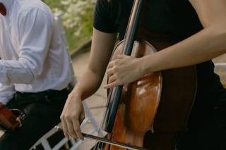 Harmonise Produções Musicais - 8