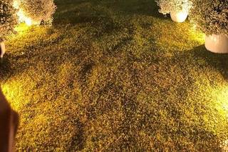 Di Fiori - 8