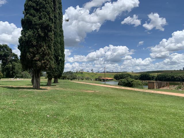 Fazenda São Francisco - 4