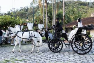 Monte Filmes - 9
