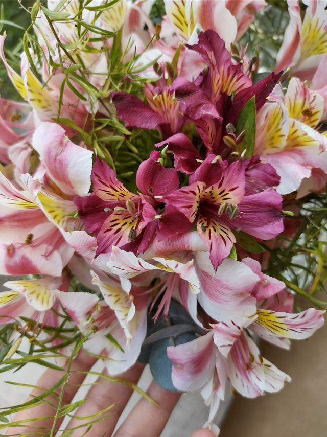 Darling Decoração - 2