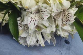 Darling Decoração - 6