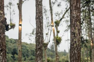 Espaço Serra do Mar - 6