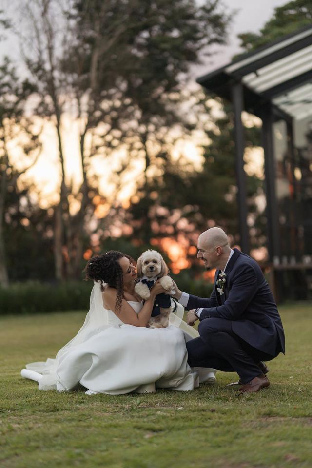 Pet Moments - 2