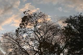 Espaço Florativa - 15