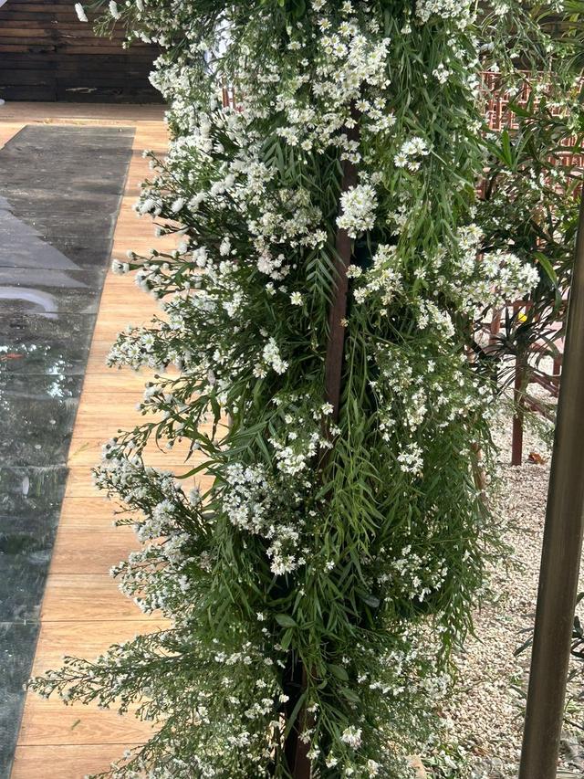 Fresia Decorações - 2