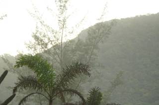 Grumari Beach Garden - 17
