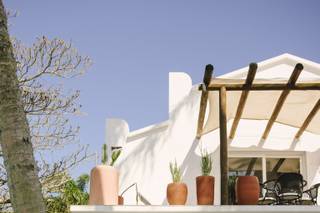 Coco Beach Floripa - 12