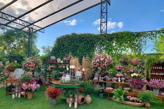 Chácara dos Anjos - 10