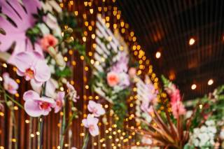 Tulipa Negra Eventos - 17