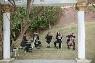 Realizzare Eventos Musicais - 9