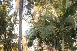 Jéssica Muriele Fotografia - 9