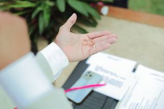 Cristiano Silva Celebrante - 17