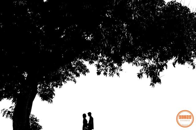 Reina Fotografia - 4