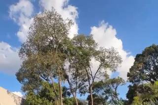 Espaço Treville - 18