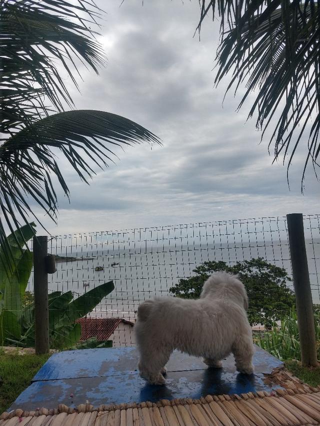 Casa Jardim Mar - 1