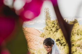 Werneck Fotografia - 7