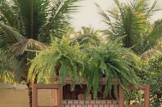 Valeria Loureiro Festas - 15