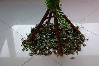 New Produções e Eventos - 4